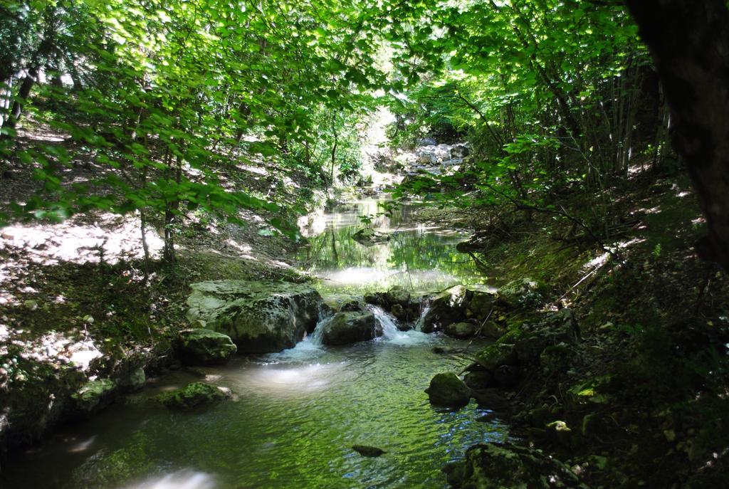 Domaine D'Angouire Hotel Moustiers-Sainte-Marie Luaran gambar