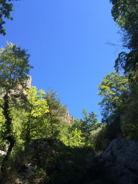 Domaine D'Angouire Hotel Moustiers-Sainte-Marie Luaran gambar